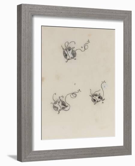 Three Whistler Butterflies (Crayon & Chinese White on Lithographic Transfer Paper)-James Abbott McNeill Whistler-Framed Giclee Print