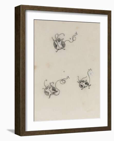 Three Whistler Butterflies (Crayon & Chinese White on Lithographic Transfer Paper)-James Abbott McNeill Whistler-Framed Giclee Print