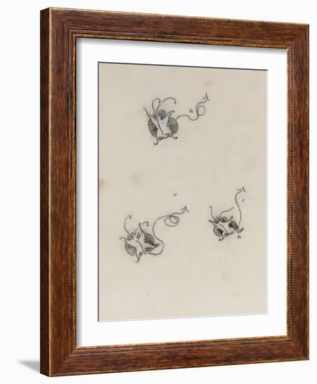 Three Whistler Butterflies (Crayon & Chinese White on Lithographic Transfer Paper)-James Abbott McNeill Whistler-Framed Giclee Print