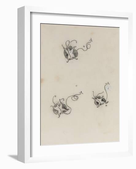 Three Whistler Butterflies (Crayon & Chinese White on Lithographic Transfer Paper)-James Abbott McNeill Whistler-Framed Giclee Print