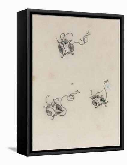 Three Whistler Butterflies (Crayon & Chinese White on Lithographic Transfer Paper)-James Abbott McNeill Whistler-Framed Premier Image Canvas