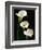 Three White Calla Lilies-Darrell Gulin-Framed Photographic Print