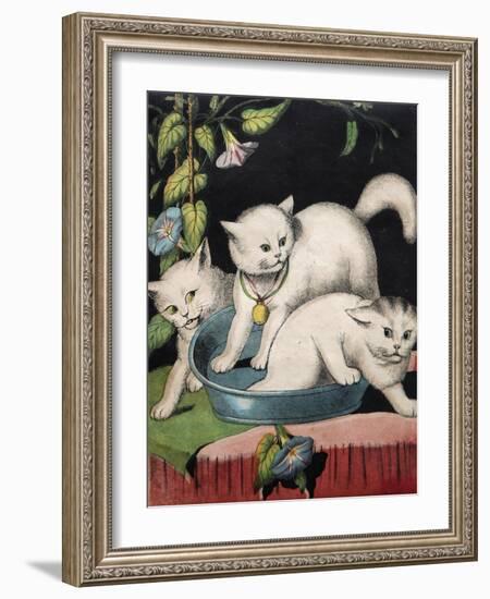 Three White Cats and Tub-Louis Wain-Framed Giclee Print