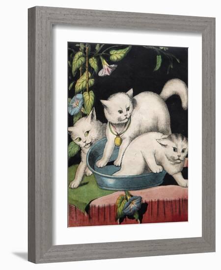 Three White Cats and Tub-Louis Wain-Framed Giclee Print