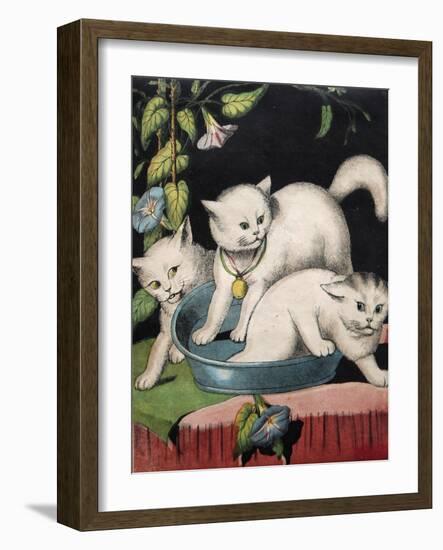 Three White Cats and Tub-Louis Wain-Framed Giclee Print