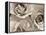 Three White Roses-Robert Cattan-Framed Premier Image Canvas