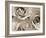 Three White Roses-Robert Cattan-Framed Photographic Print