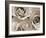 Three White Roses-Robert Cattan-Framed Photographic Print