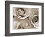 Three White Roses-Robert Cattan-Framed Photographic Print