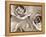 Three White Roses-Robert Cattan-Framed Premier Image Canvas