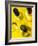 Three White Wine Bottles and a Wine Glass-Ulrike Koeb-Framed Photographic Print