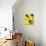 Three White Wine Bottles and a Wine Glass-Ulrike Koeb-Mounted Photographic Print displayed on a wall