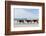 Three Wild Horses Walking along the Beach in Corolla, Nc.-McIninch-Framed Photographic Print