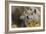 Three Wolves-Gordon Semmens-Framed Photographic Print