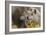 Three Wolves-Gordon Semmens-Framed Photographic Print