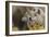 Three Wolves-Gordon Semmens-Framed Photographic Print