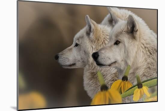 Three Wolves-Gordon Semmens-Mounted Photographic Print