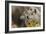 Three Wolves-Gordon Semmens-Framed Photographic Print