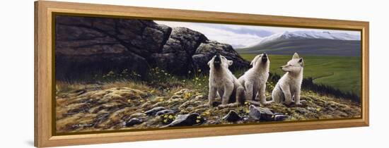 Three Wolves-Michael Budden-Framed Premier Image Canvas