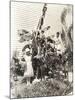 Three Women Decorating Banana Tree for Christmas-null-Mounted Photo