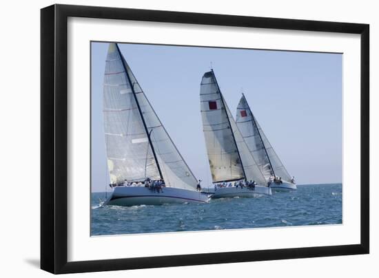 Three Yachts Compete in Team Sailing Event, California-null-Framed Photo