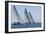 Three Yachts Compete in Team Sailing Event, California-null-Framed Photo