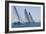 Three Yachts Compete in Team Sailing Event, California-null-Framed Photo