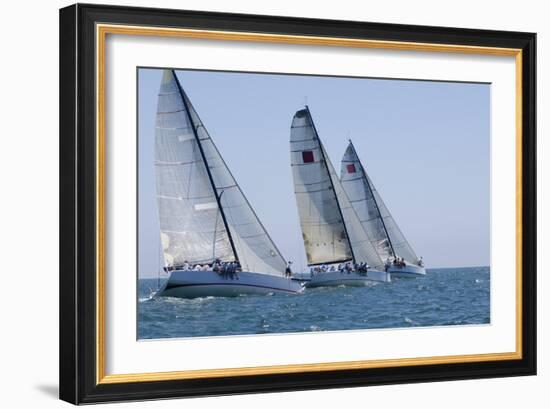 Three Yachts Compete in Team Sailing Event, California-null-Framed Photo