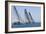 Three Yachts Compete in Team Sailing Event, California-null-Framed Photo