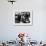 Three Year Old John F Kennedy Jr Salutes His Father's Flag Draped Coffin after Funeral Mass-null-Framed Photo displayed on a wall