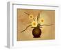Three Yellow and Red Flowers in Vase with Cattail and Lotus Flower-Rich LaPenna-Framed Giclee Print