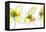 Three Yellow Flowers-Jan Weiss-Framed Stretched Canvas