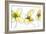 Three Yellow Flowers-Jan Weiss-Framed Art Print