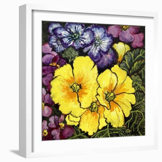 Three Yellow Primroses Surrounded by Mauve and Purple Primroses and Leaves (Watercolour)-Joan Thewsey-Framed Giclee Print