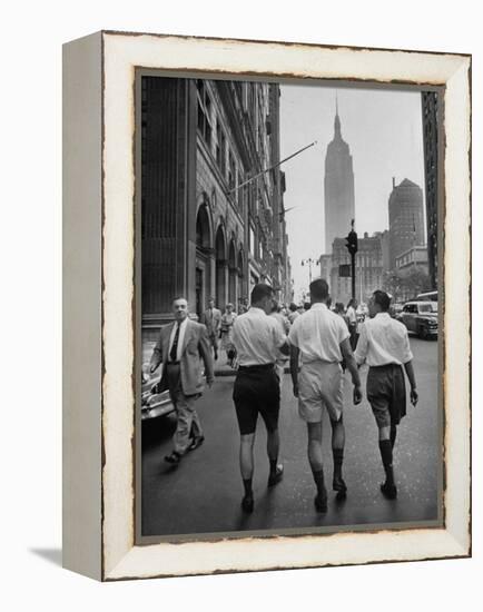 Three Young Businessmen Wearing Bermuda Shorts as They Walk Along Fifth Ave. During Lunchtime-Lisa Larsen-Framed Premier Image Canvas