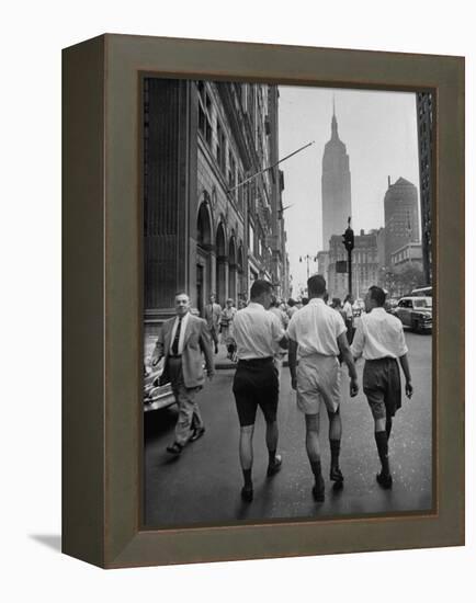 Three Young Businessmen Wearing Bermuda Shorts as They Walk Along Fifth Ave. During Lunchtime-Lisa Larsen-Framed Premier Image Canvas