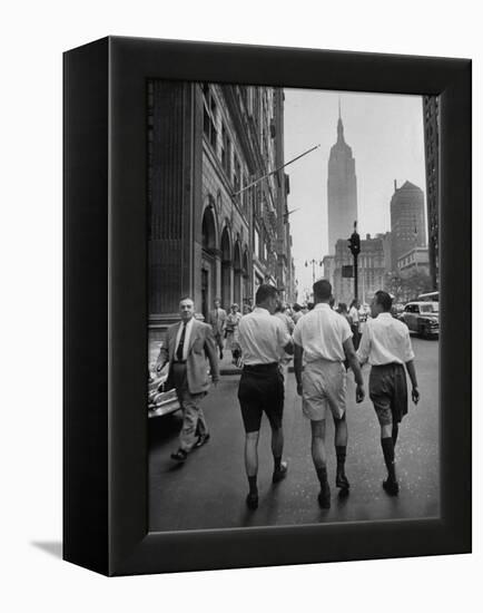 Three Young Businessmen Wearing Bermuda Shorts as They Walk Along Fifth Ave. During Lunchtime-Lisa Larsen-Framed Premier Image Canvas