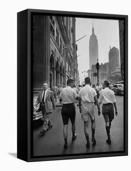 Three Young Businessmen Wearing Bermuda Shorts as They Walk Along Fifth Ave. During Lunchtime-Lisa Larsen-Framed Premier Image Canvas