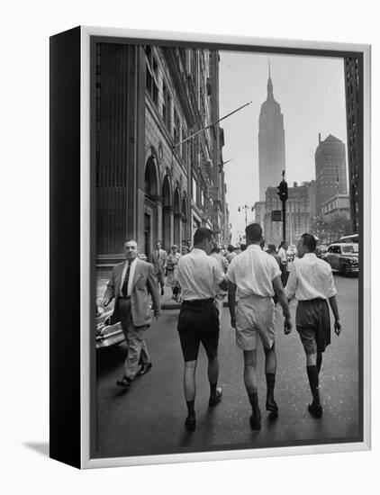 Three Young Businessmen Wearing Bermuda Shorts as They Walk Along Fifth Ave. During Lunchtime-Lisa Larsen-Framed Premier Image Canvas