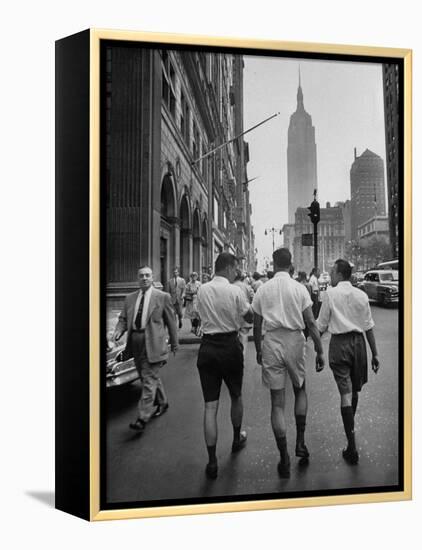 Three Young Businessmen Wearing Bermuda Shorts as They Walk Along Fifth Ave. During Lunchtime-Lisa Larsen-Framed Premier Image Canvas