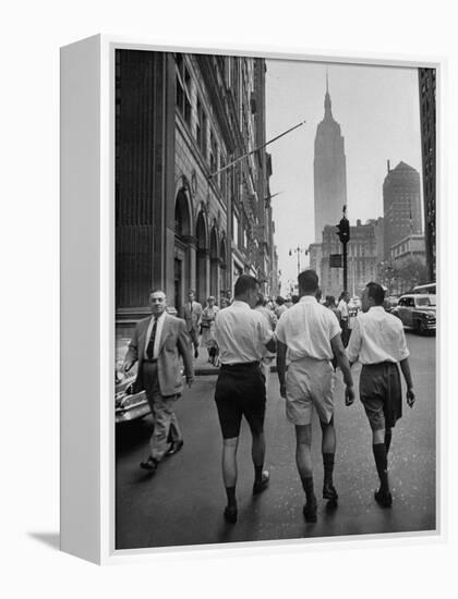 Three Young Businessmen Wearing Bermuda Shorts as They Walk Along Fifth Ave. During Lunchtime-Lisa Larsen-Framed Premier Image Canvas