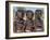 Three Young Girls, their Bodies Lightly Smeared with Red Ochre Mixture, Namibia-Nigel Pavitt-Framed Photographic Print