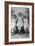 Three Young Women, Photographed in Gales Studios, Early 20th Century-null-Framed Giclee Print