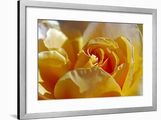 Three-SD Smart-Framed Photographic Print