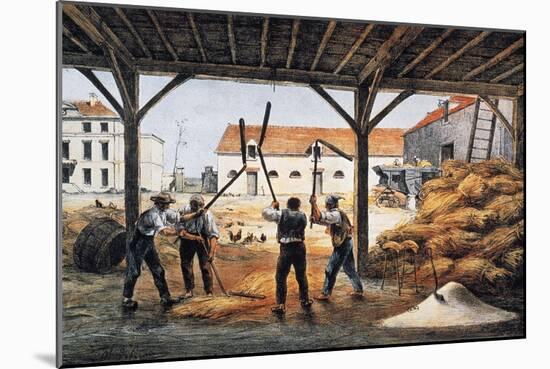 Threshing (Beating) of Wheat, France, 19th Century-null-Mounted Giclee Print