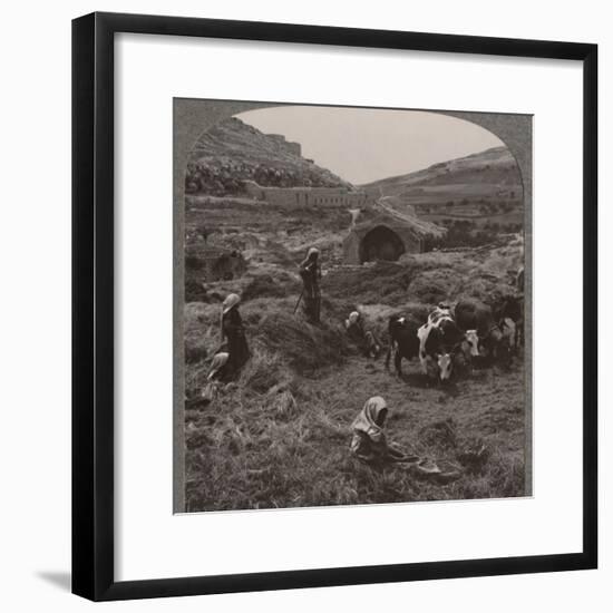 'Threshing grain near Jacob's Well', c1900-Unknown-Framed Photographic Print