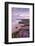 Thrift flowering on cliff top with beach below, at sunset, UK-Ross Hoddinott-Framed Photographic Print