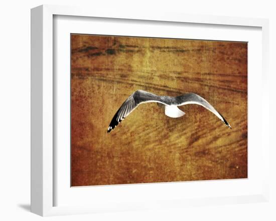 Thrill of Flying-Christy Ann-Framed Giclee Print