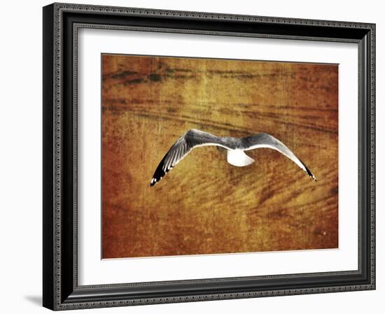 Thrill of Flying-Christy Ann-Framed Giclee Print