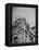 Thrill Seekers at the Top of the Cyclone Roller Coaster at Coney Island Amusement Park-Marie Hansen-Framed Premier Image Canvas